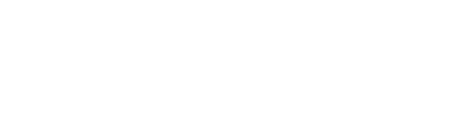 YAMAN SYSTEM